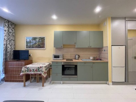 Студия, 2/17 эт., 24м²